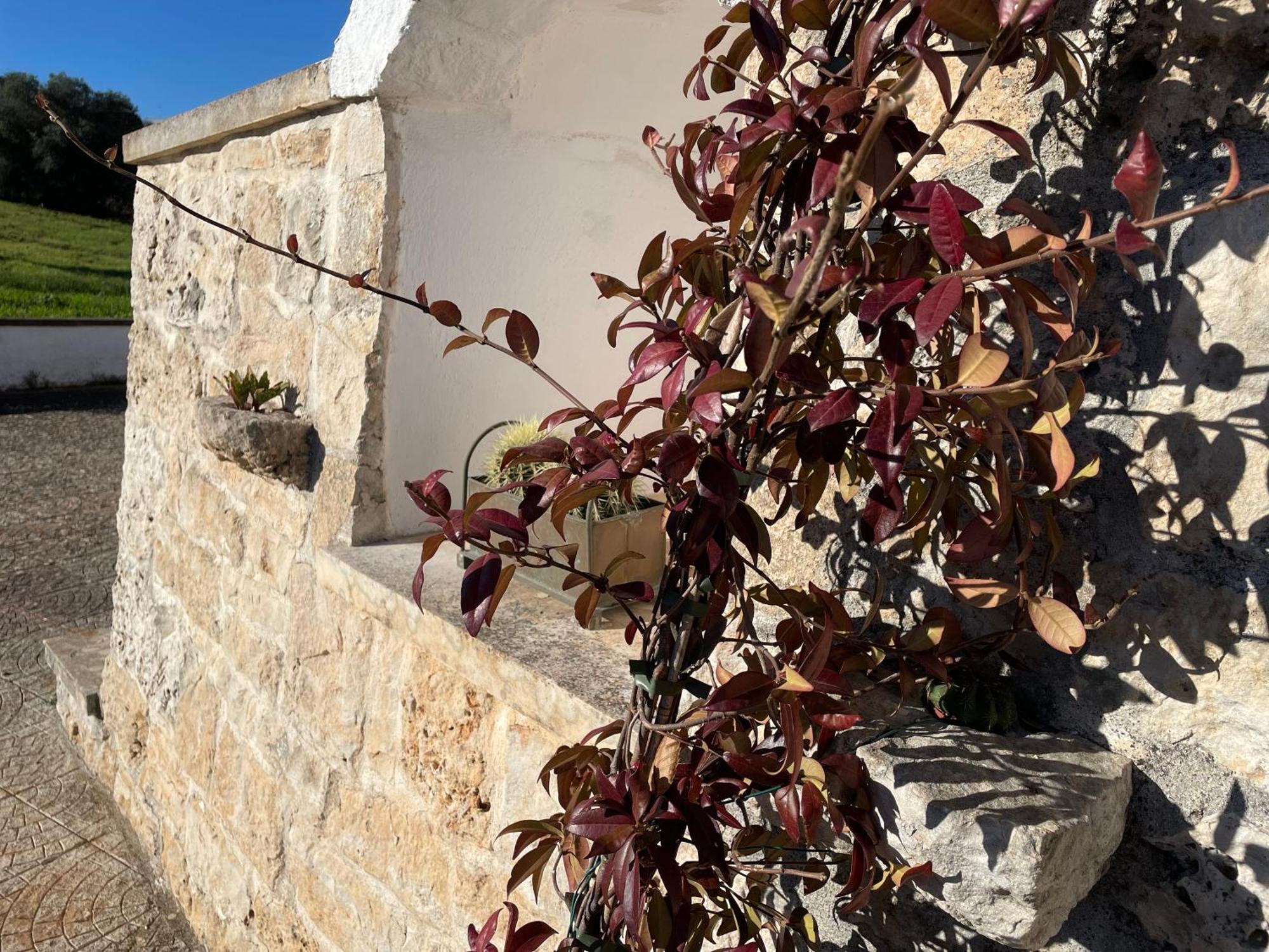 Trulli Del Sole Villa มาร์ตินาฟรังกา ภายนอก รูปภาพ