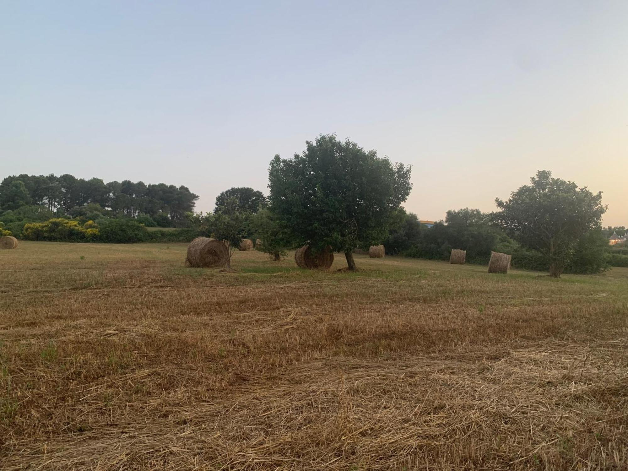 Trulli Del Sole Villa มาร์ตินาฟรังกา ภายนอก รูปภาพ